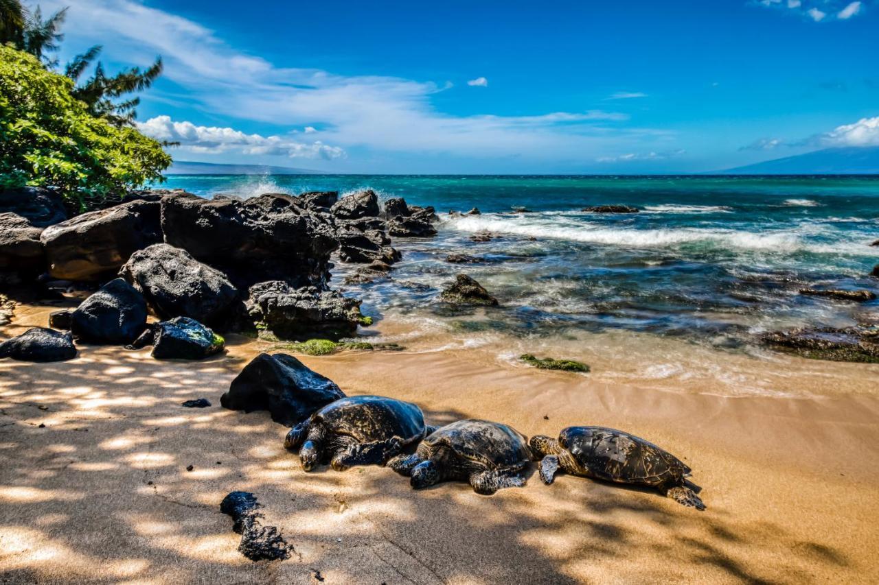 Вілла Mahina Surf I Napili-Honokowai Номер фото