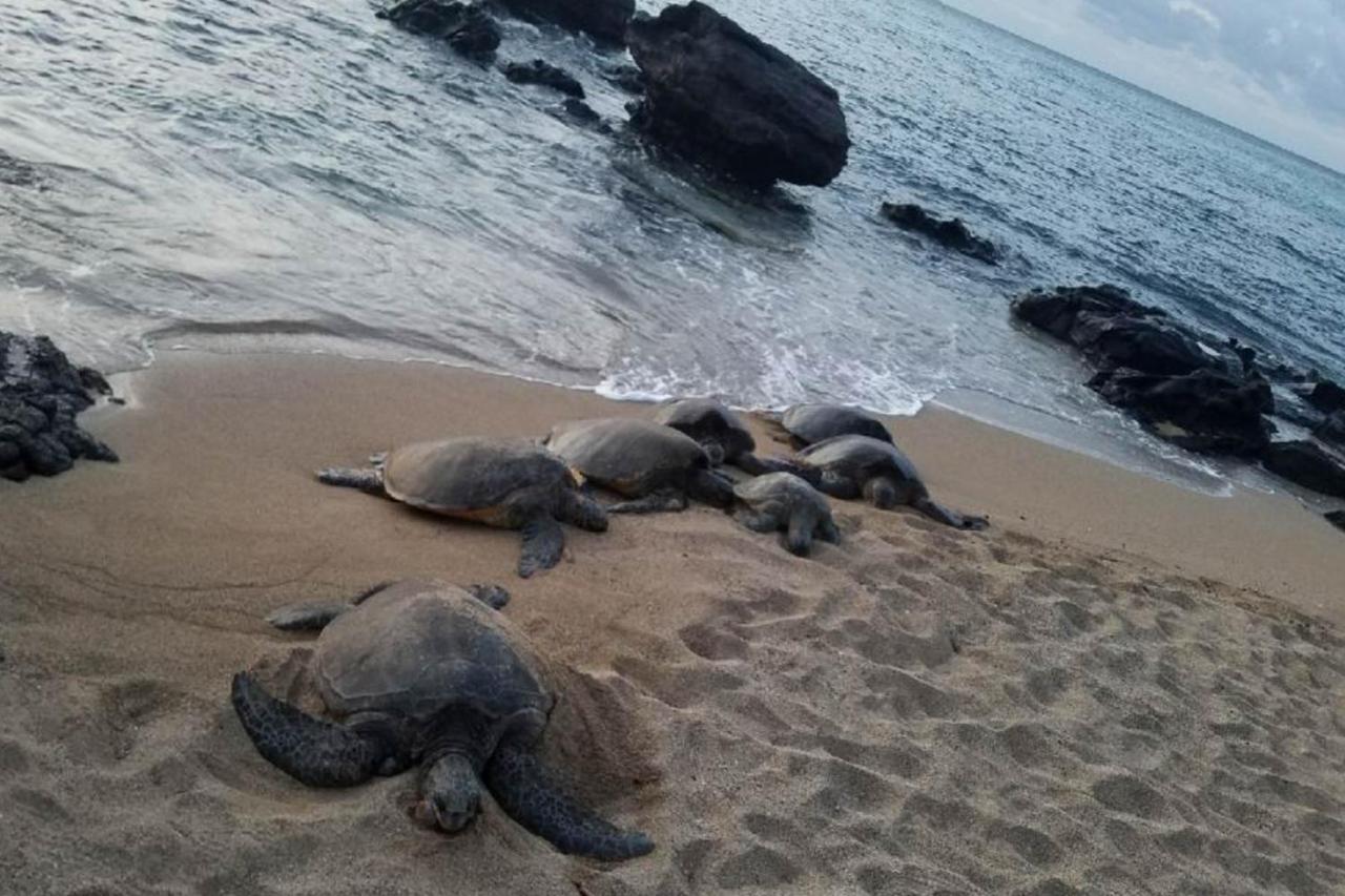 Вілла Mahina Surf I Napili-Honokowai Екстер'єр фото